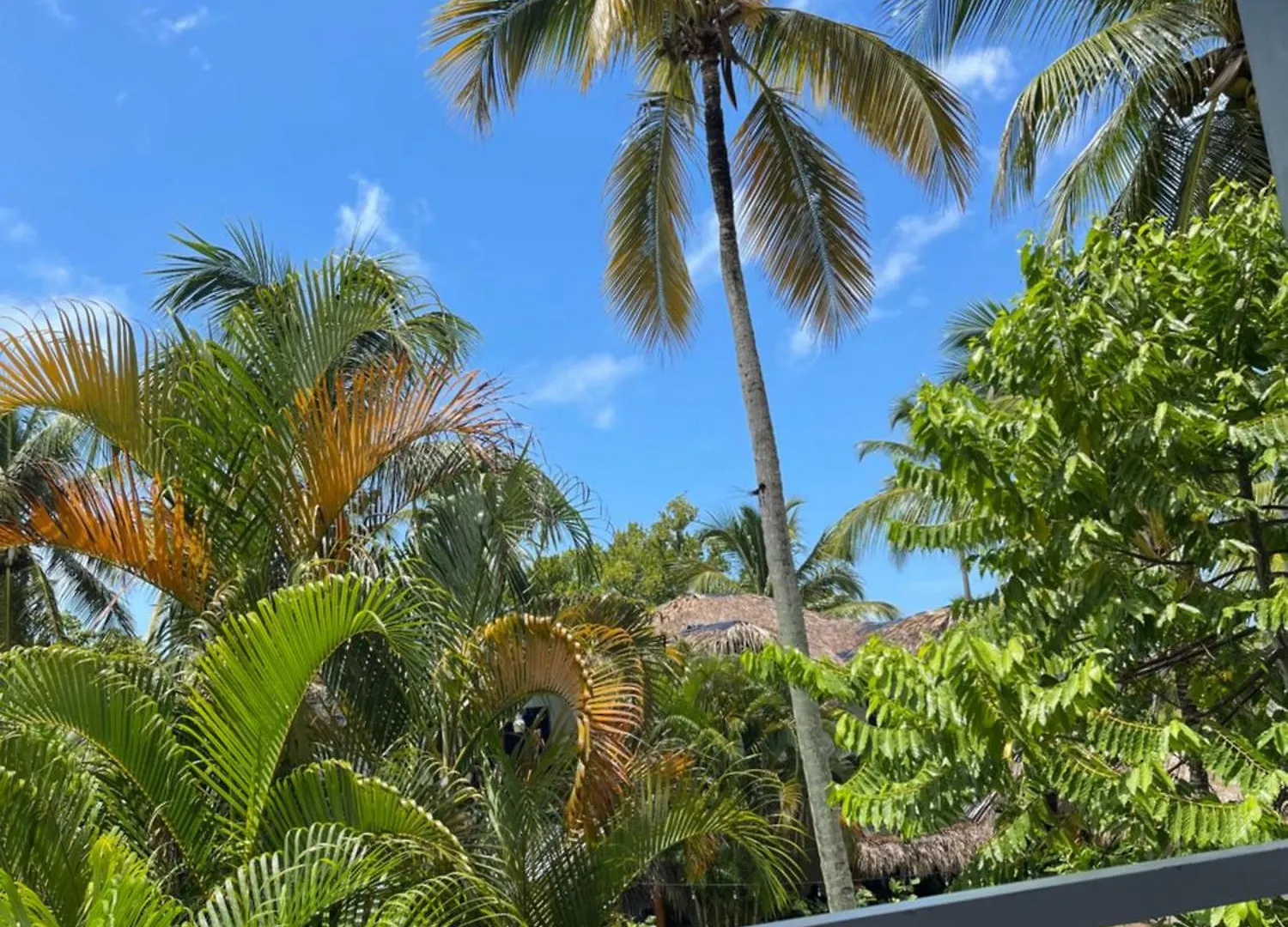 Villa Villasmana Playabonita Lasterrenas Nearbeach Las Terrenas