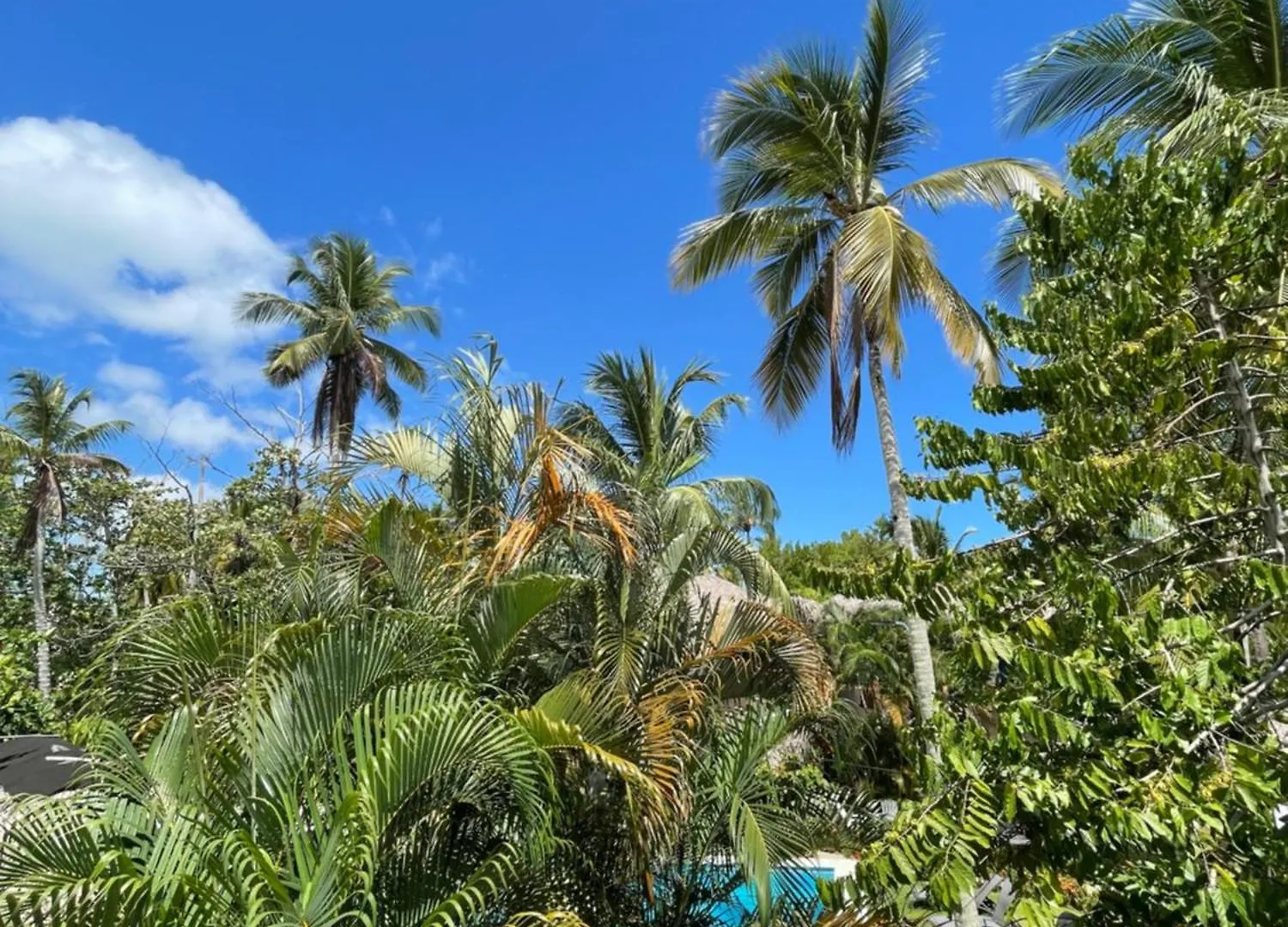 Villa Villasmana Playabonita Lasterrenas Nearbeach Las Terrenas Den Dominikanske Republik