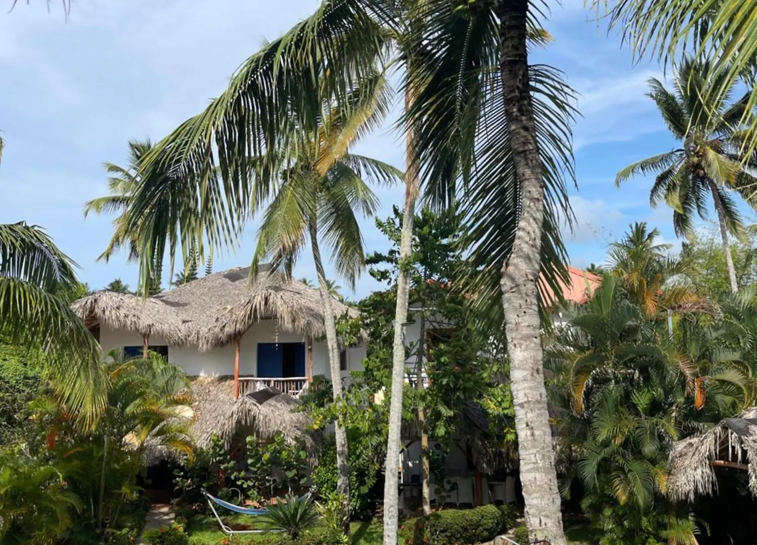 Villasmana Playabonita Lasterrenas Nearbeach Las Terrenas Den Dominikanske Republik