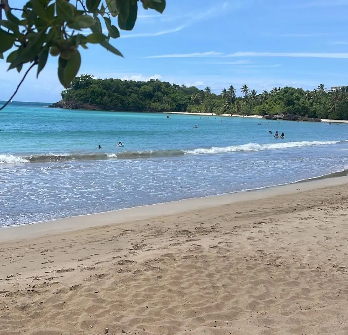 Villasmana Playabonita Lasterrenas Nearbeach Las Terrenas Den Dominikanske Republik